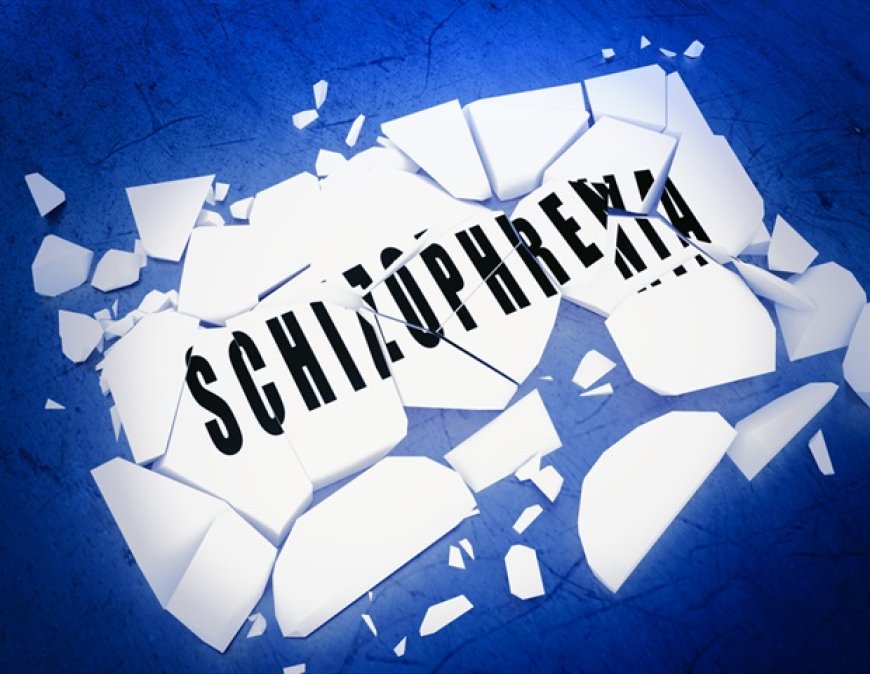 Study on schizophrenia mouse model using automated cage monitoring system