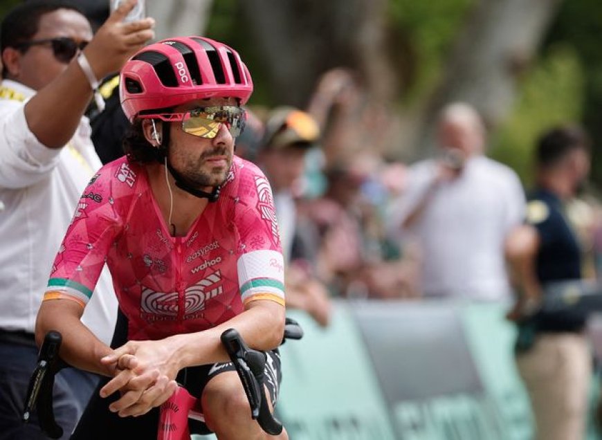 Tour de France Stage 19 Altered Due to Culling of Cows