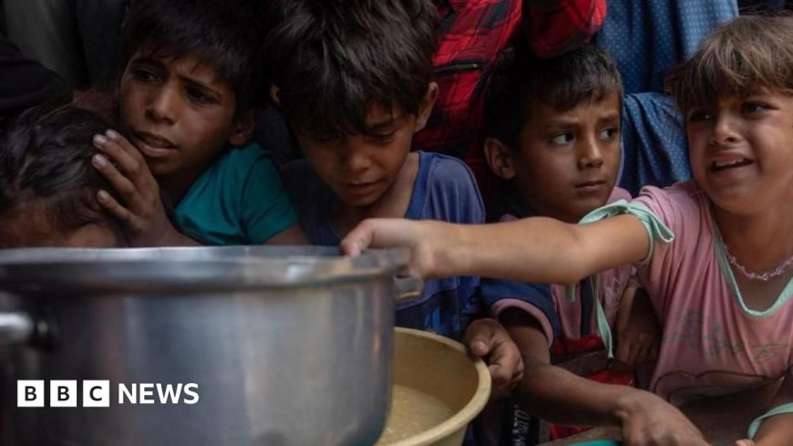 UN Warns Almost a Third of Gaza Residents Going Without Food for Days