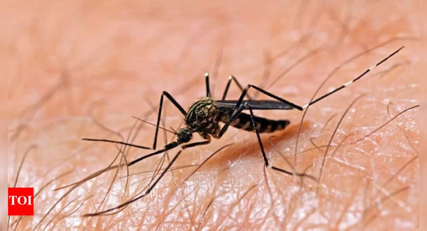 Mosquitoes carrying West Nile virus found in Illinois, health officials urge precautions