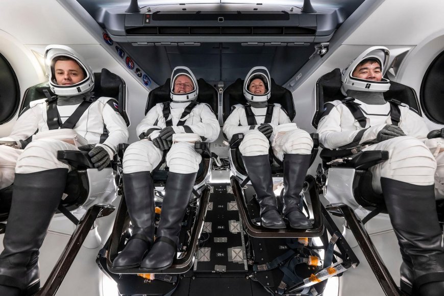 Meet the SpaceX Crew-11 Astronauts Launching to the ISS on July 31