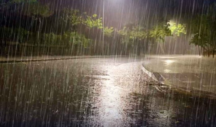 Upcoming Heavy Rains Forecasted for Punjab from July 28 to 31