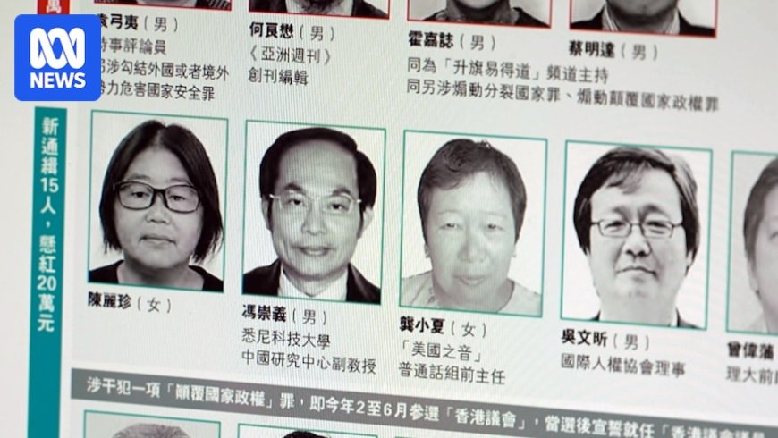 Hong Kong Police Issue Arrest Warrants for Australian Citizen Feng Chongyi and Other Foreign Nationals