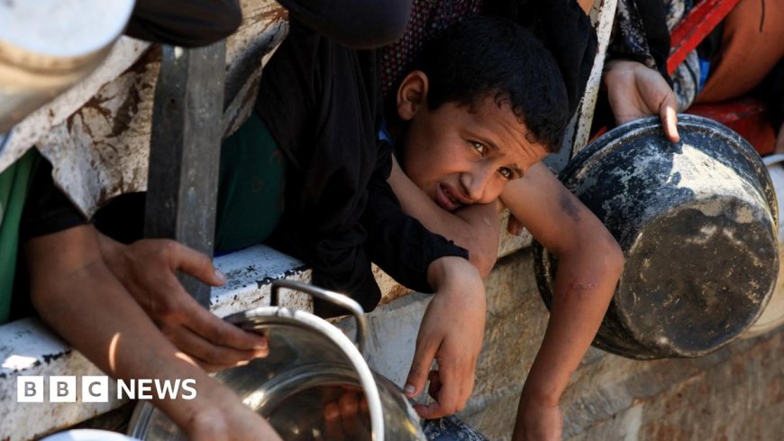 Jeremy Bowen: Air dropping aid in Gaza won't solve hunger, says expert