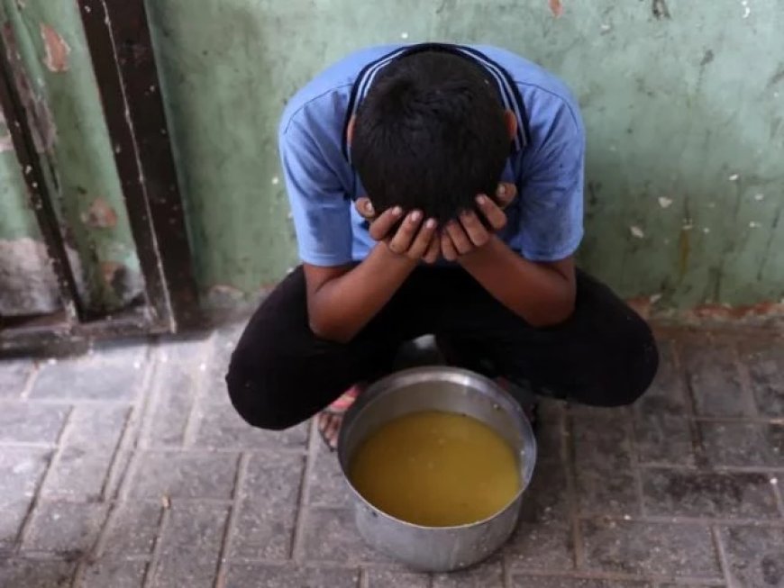 UNRWA Official Urges More Aid for Gaza Amid Severe Shortages