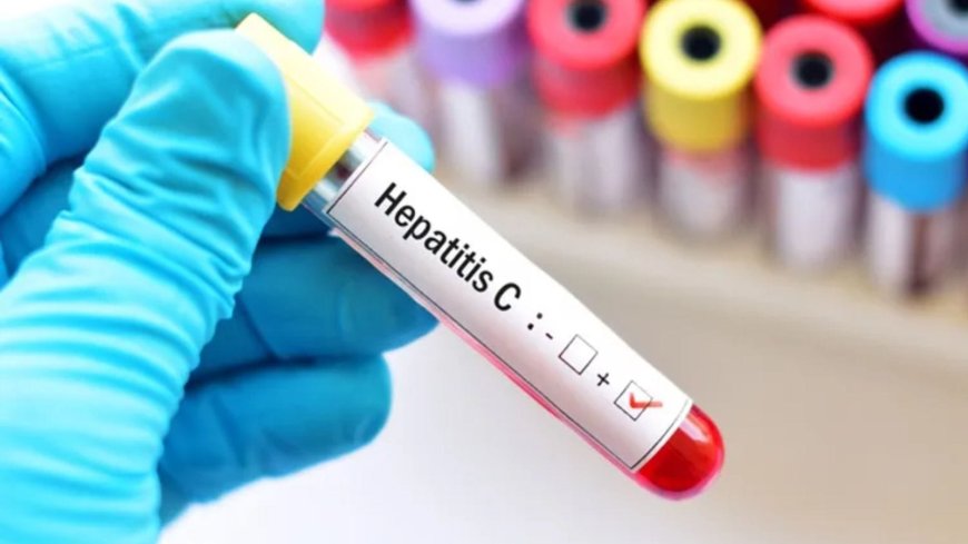 Hepatitis in Punjab: High Burden State for Hepatitis C Due to Drug Abuse
