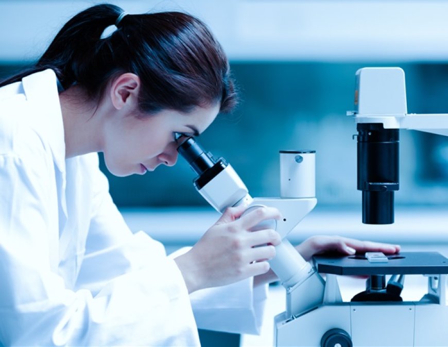 New Study Reveals RNA Shape-Shifting in Human and Bacterial Cells