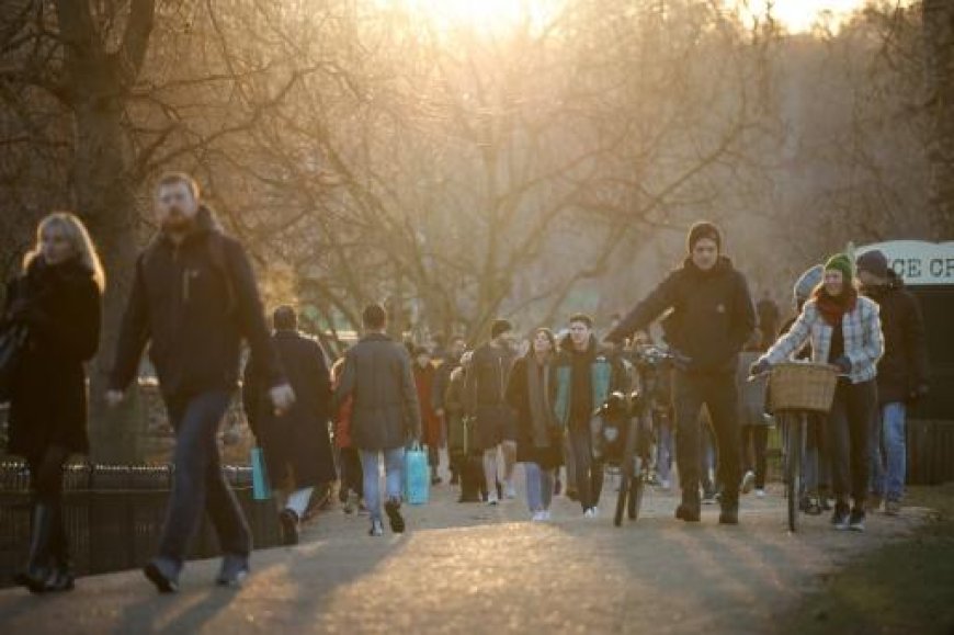 Walking 7,000 Steps a Day: Big Health Benefits Revealed by Research