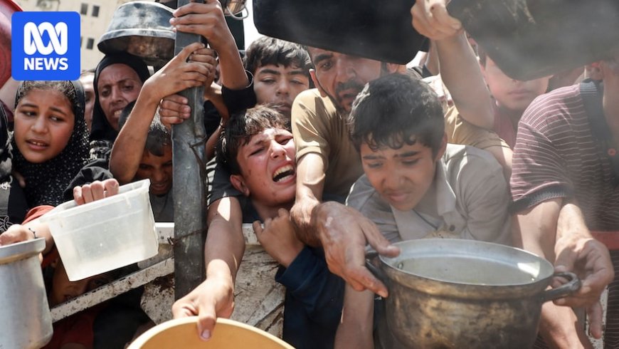 Israeli Human Rights Groups Accuse Country of Genocide in Gaza