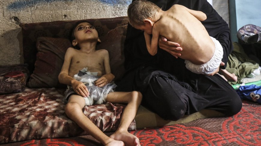 Global Hunger Monitor Warns of Famine Crisis in Gaza
