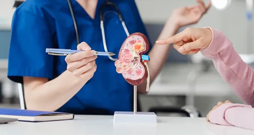 Understanding Nephrology and Chronic Kidney Disease: Key Findings