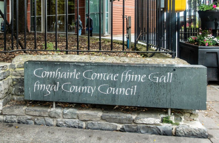 Judge Stops Unauthorized Work at Ancient Burial Site in Dublin After Human Remains Found