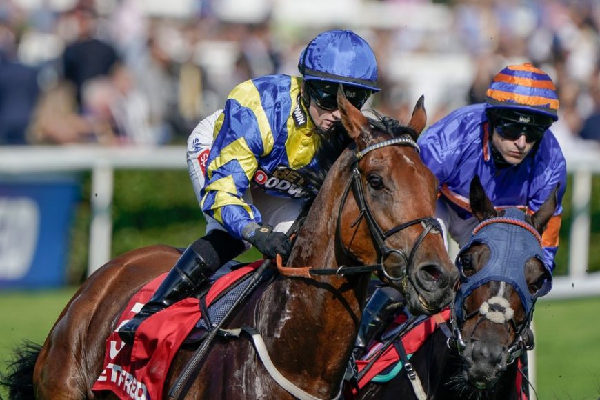 Trueshan, Popular Veteran Racehorse, Suffers Fatal Injury at Goodwood Cup