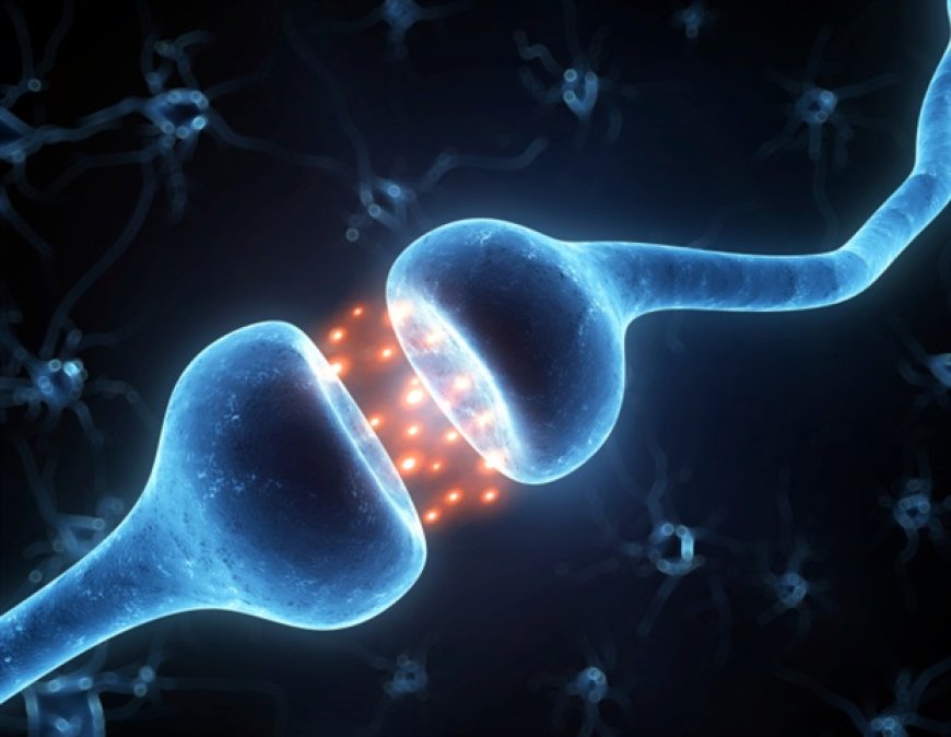 New artificial protein sensor enables easy cortisol measurement using a smartphone