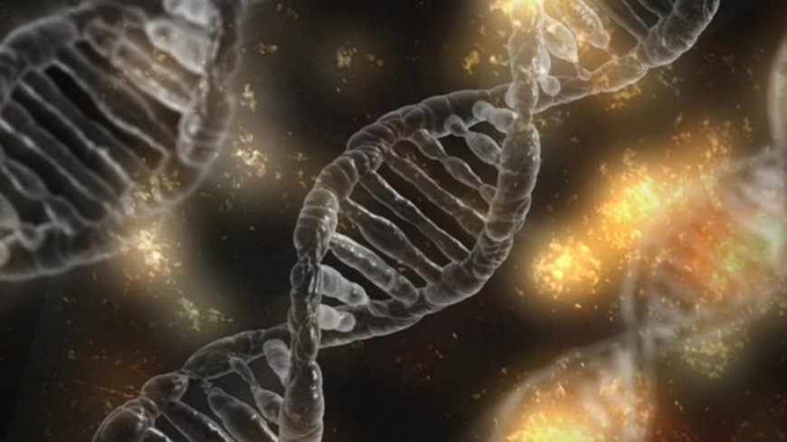 Exploring Genetic Links in Dental Caries: SNPs and Their Impact